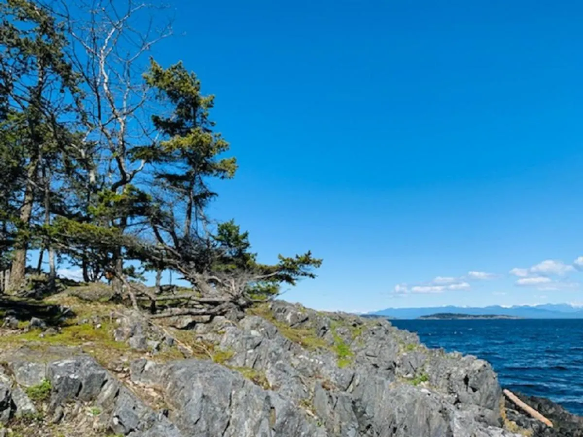 A Cozy Family Get Away Suite In South Nanaimo Holiday home